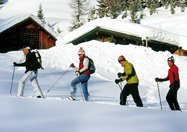 Schneeschuhwandern in Filzmoos